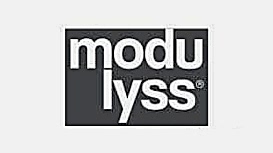 ModuIyss